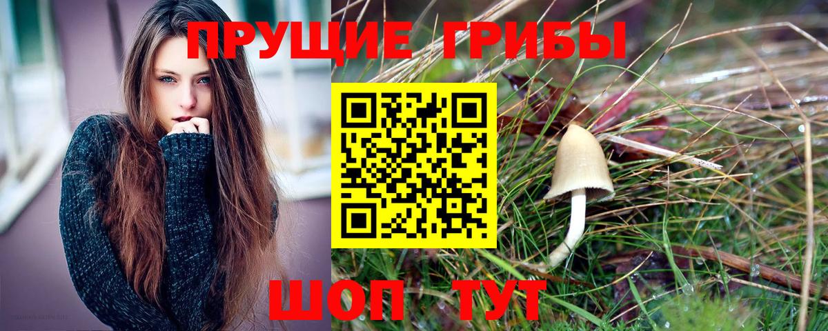 Псилоцибиновые грибы прущие грибы  Вход с VPN  Псилоцибиновые грибы MAGIC MUSHROOMS  Севастополь 